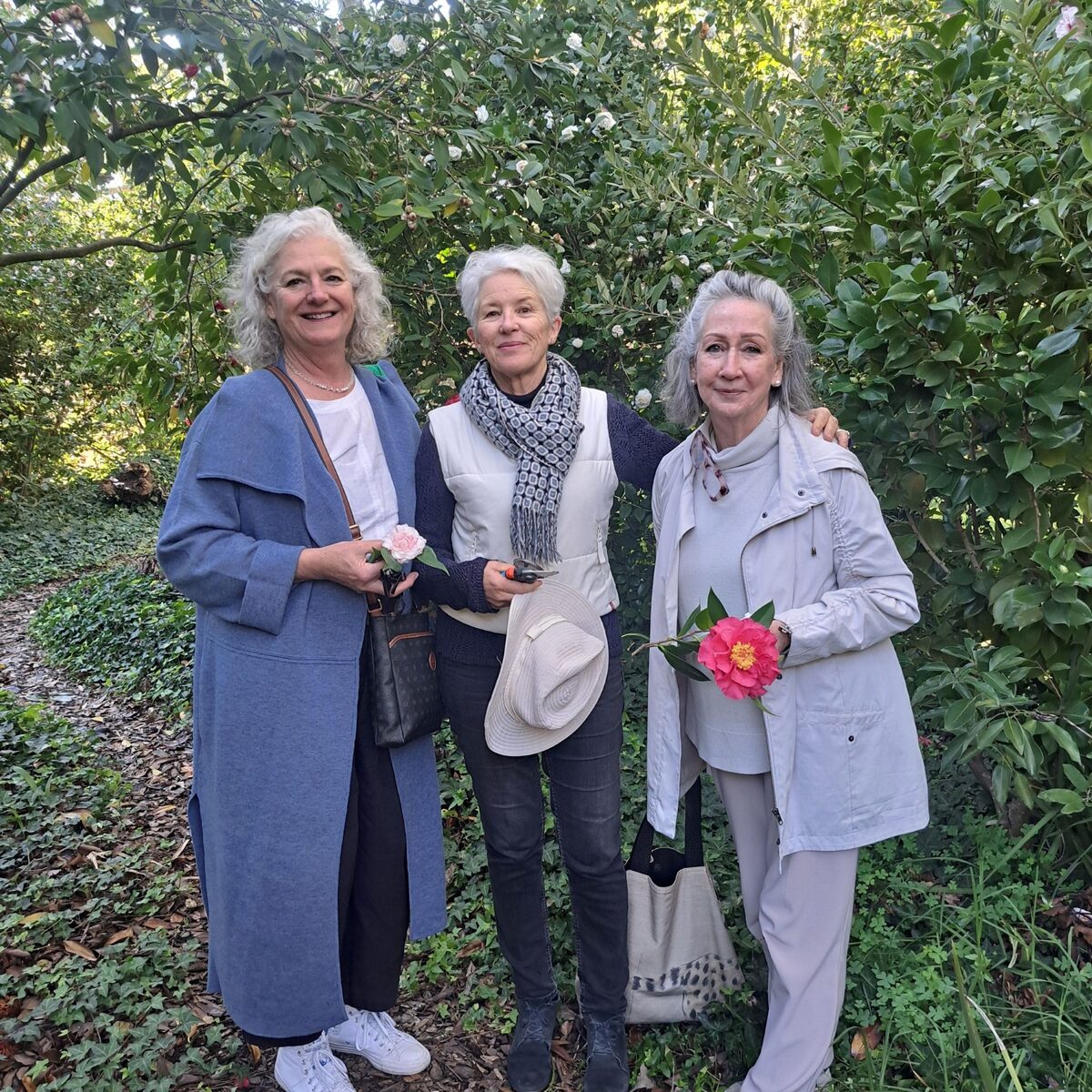 Botanical artists sketch camellias at Vergelegen’s masterclass