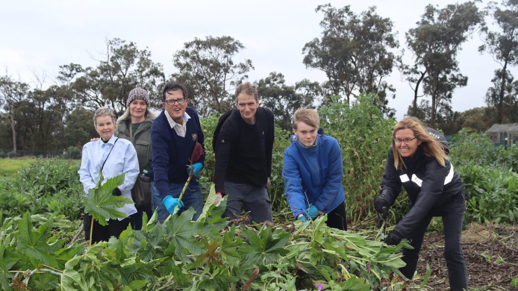 Volunteers stand behind pile of invasive plants removed during Paardevlei environmental hack.