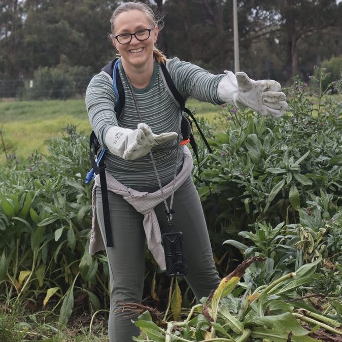 Tiffany Schultz clearing invasive vegetation during Paardevlei environmental hack.