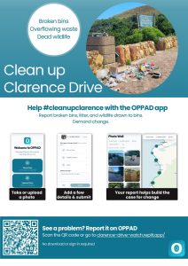 Conservancy launches App and demands action as Clarence Drive bin crisis persists