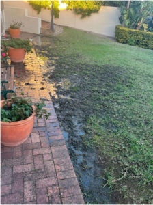 Somerset West resident battles sewage crisis on Lewes Street