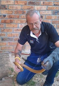 Snake catchers brace for busier season as Western Cape heads into potentially hottest summer in decades