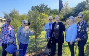 Vroue-Landbouvereniging plant boom by Helderberg-hospies