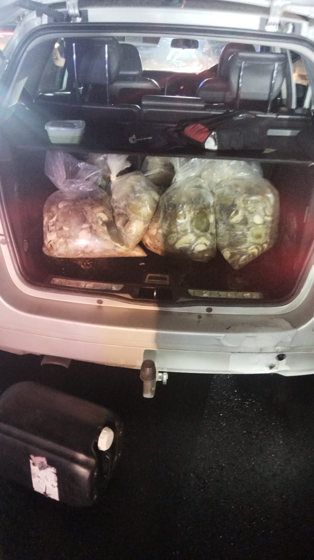 856 units of abalone were found and confiscated.