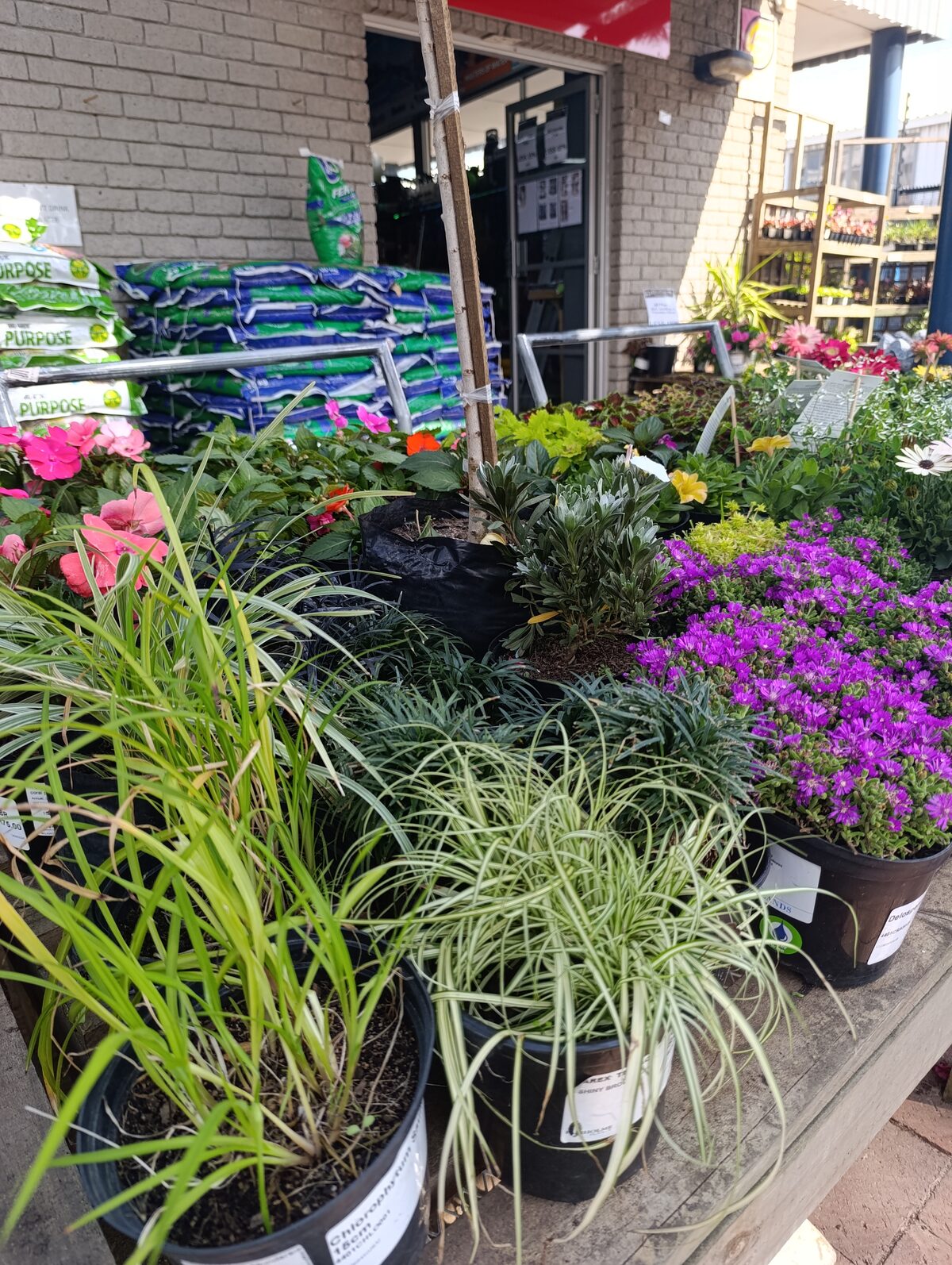 Timbuild's new Paint & Plant section.