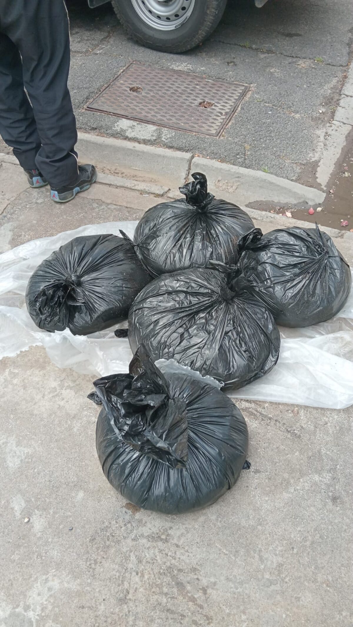 A search of the vehicle revealed five black bags containing 188 units of abalone, valued at R155 000.