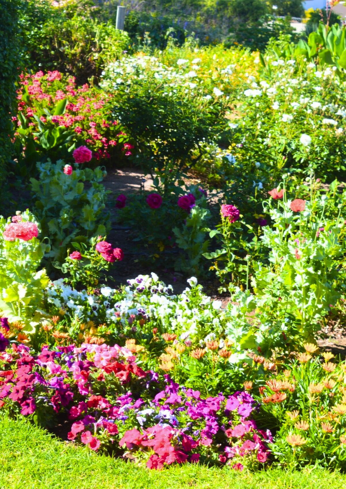 Helderberg Hospice open gardens festival