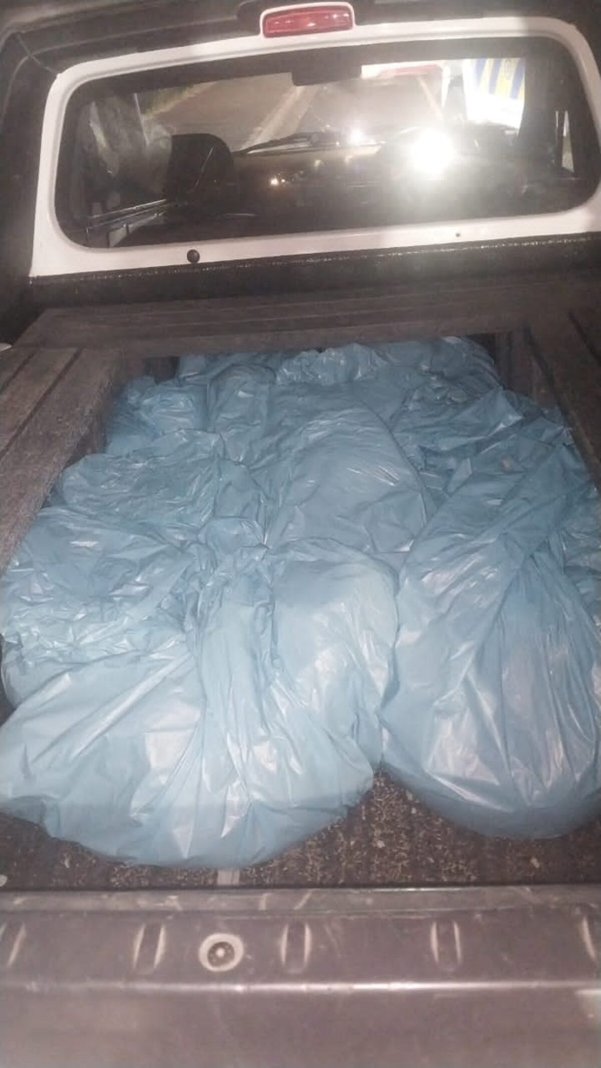 Officers uncovered a massive haul totaling 2 005 units of abalone.