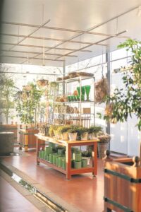 Lifestyle farm’s new offerings