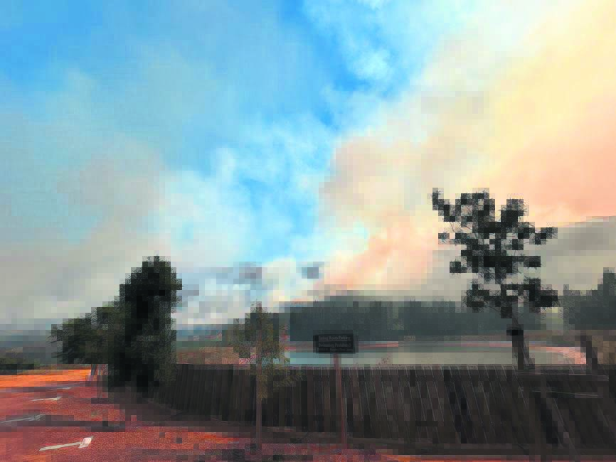 Wildfire in Banhoek