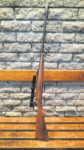 Stellenbosch-man aangekla van moord nadat gesteelde geweer in sy besit gekry is