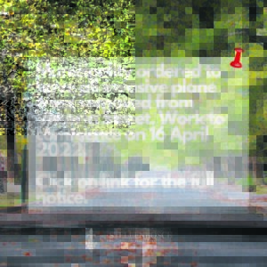 Uitroei van indringerbome ‘net ’n grap’