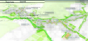 Developmental vision