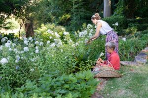 Tokara farm garden in full bloom for Garden Town Stellenbosch
