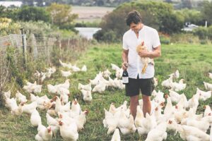 Spier’s flagship organic wine range the fruit of a shared journey in regenerative agriculture