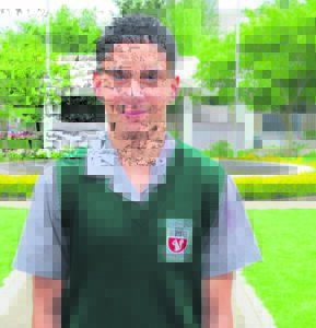 Boland-kleure vir krieket