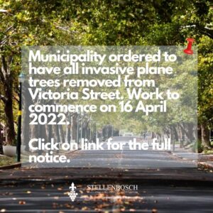 Munisipaliteit vang inwoners op gekkedag