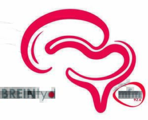 Prikkel die breinspiere só