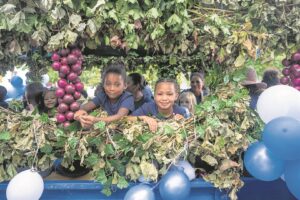Oesfees prikkel sintuie