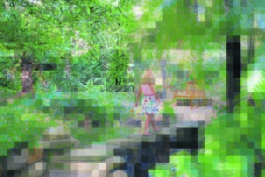 Autumn majesty at Tokara Rare Plant Fair and Open Garden