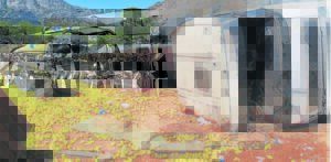 Trok rol, pere waar jy kyk