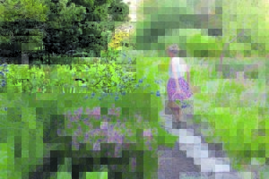 Explore Tokara’s assets during fair