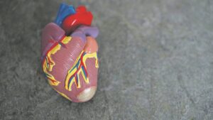 Putting the spotlight on heart health this month