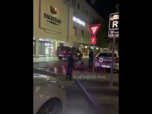 Security guards in assault case