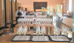 Tyd vir sauvignon blanc