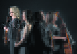 Kovsies-kwartet in S’bosch