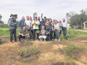 Bome verbreed tehuis se horison