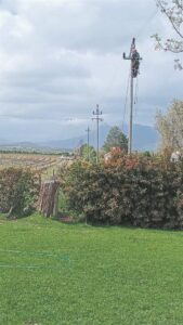 Bonniemile powerless