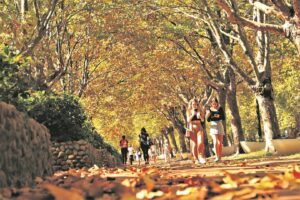 University, municipality commit to close collaboration in Stellenbosch