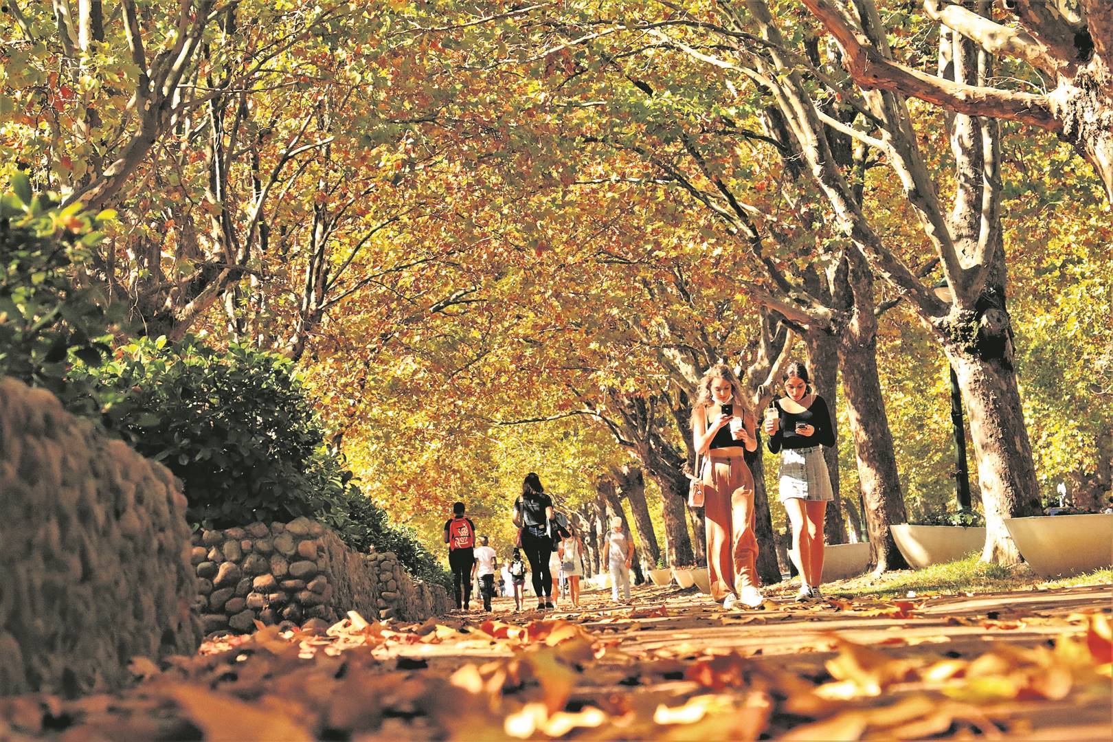 University, municipality commit to close collaboration in Stellenbosch