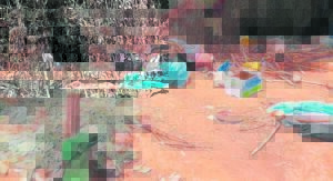 Inisiasieskool: Besetting van natuurreservaat ‘nie in almal se belang’