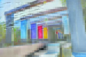 Nobel-simposium vind eerste keer sedert 1965 buite Skandinawië plaas – net hier in Stellenbosch