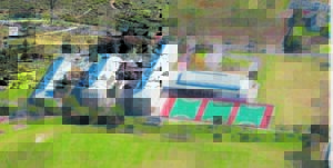 Stellies vier ’n halwe eeu