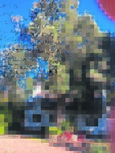 Dié bome het karakter