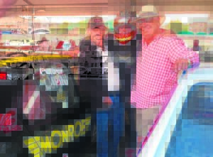 Vierde geslag Lupini-renjaer oorheers Polo-beker-renne