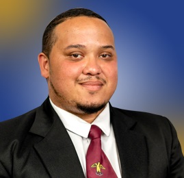 Beskermingsdienste: rdl Reginald Pheiffer