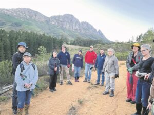 Hacking fynbos to flourish at Delheim