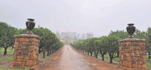 FOTO: Winter in al sy nat glorie