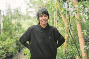 When tree planting and social sustainability coincide