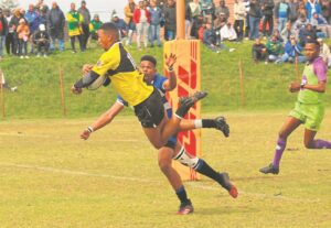 Ligasege op spel vir Van der Stel-Evergreens