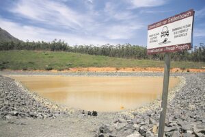 Lyke bo Coetzenburg ‘n raaisel