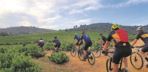 Cycle through the Bottelary Hills