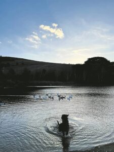 LESER’S FOTO: Swem, Milly, swem