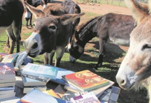Book fair for donkeys