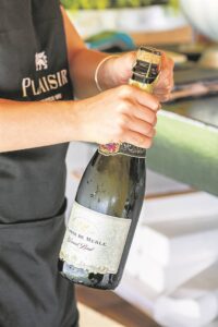 Bubbly and Gin Summer Party at Plaisir in Franschhoek