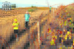 Join the fun – do trail run